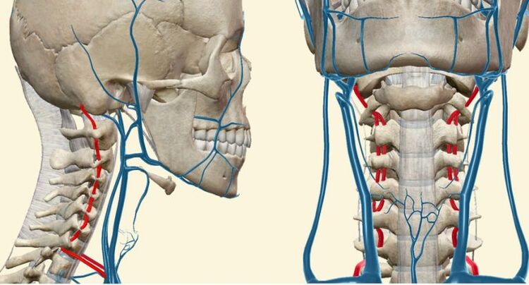 Érrendszeri szindróma osteochondrosisban
